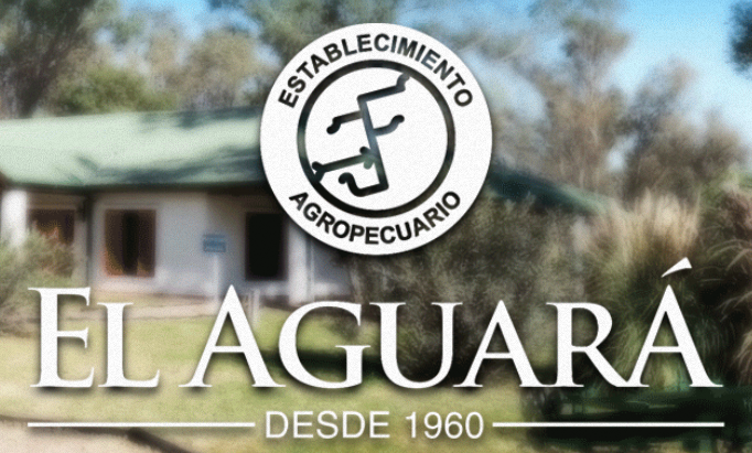 ELAGUARA
